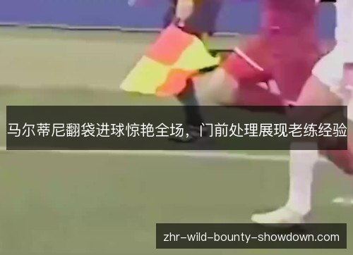 马尔蒂尼翻袋进球惊艳全场，门前处理展现老练经验